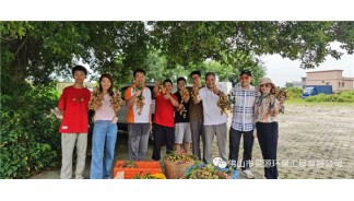 時(shí)光不語(yǔ)，果已成熟，手摘龍眼黃皮，滿心歡喜。